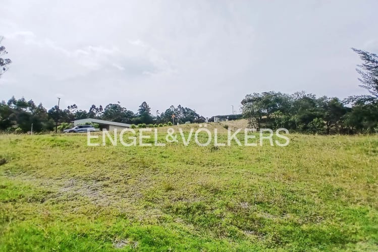 Lote en venta en Las Palmas, Envigado · foto 4 de 6