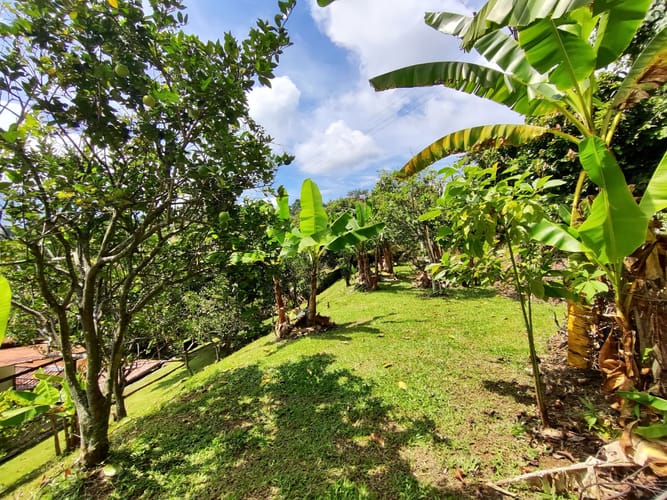 Lote en venta en Ruitoque Alto, Floridablanca, 2150 m² · foto 5 de 11
