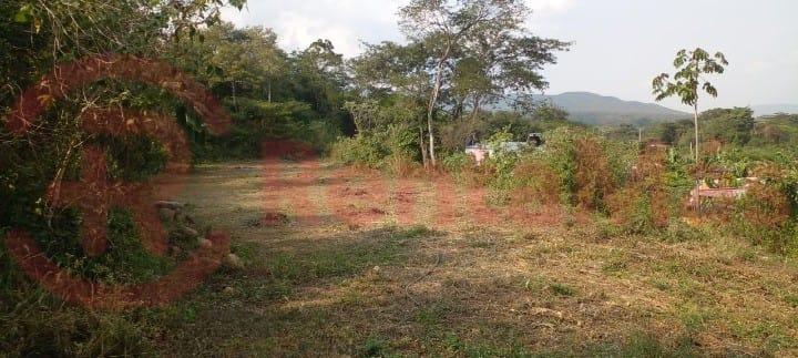 Lote en venta en Los Vados, Los Patios, 750 m² · foto 3 de 6