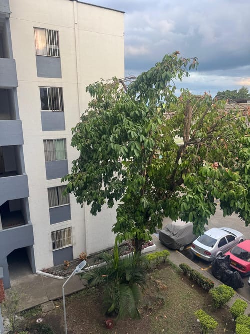 Apartamento de 3 alcobas en venta en Colseguros Andes, Cali, 60 m² · foto 12 de 16