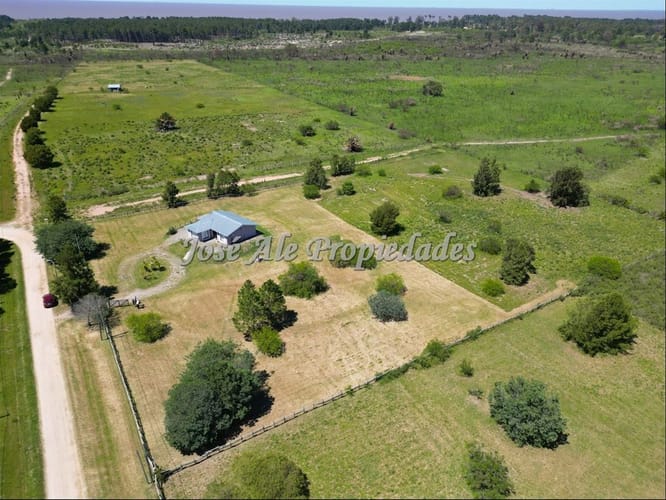 Chacra o Campo en Alquiler · Foto 3