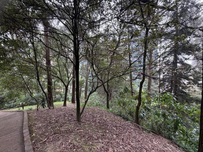 Apartamento en venta en La Candelaria, Bogotá · foto 5 de 24