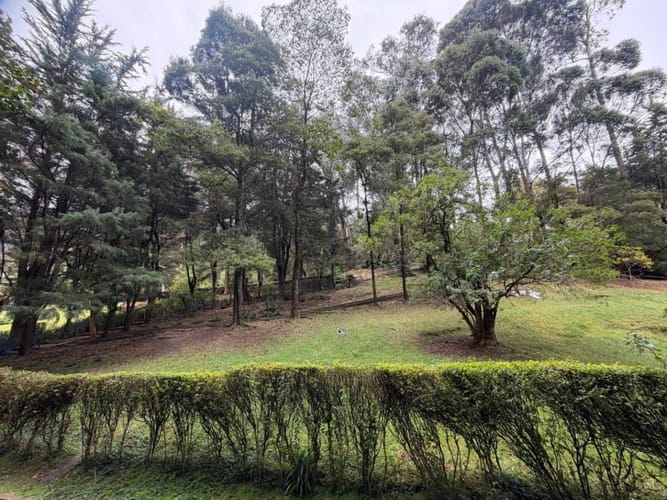 Apartamento en venta en La Candelaria, Bogotá · foto 9 de 24