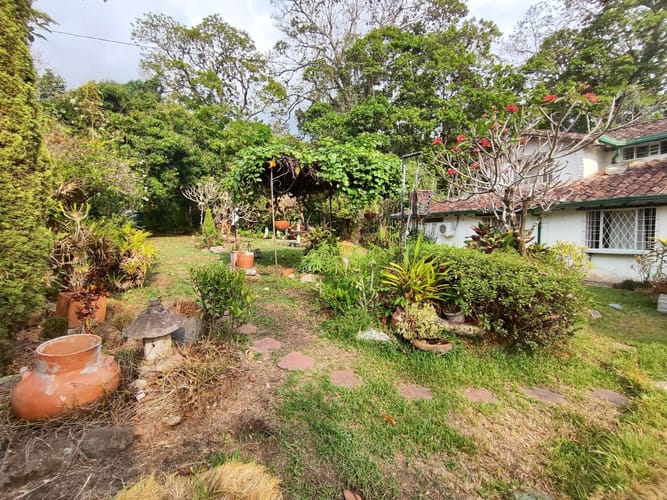 Lote en venta en La Mata, Piedecuesta, 3749 m² · foto 6 de 6