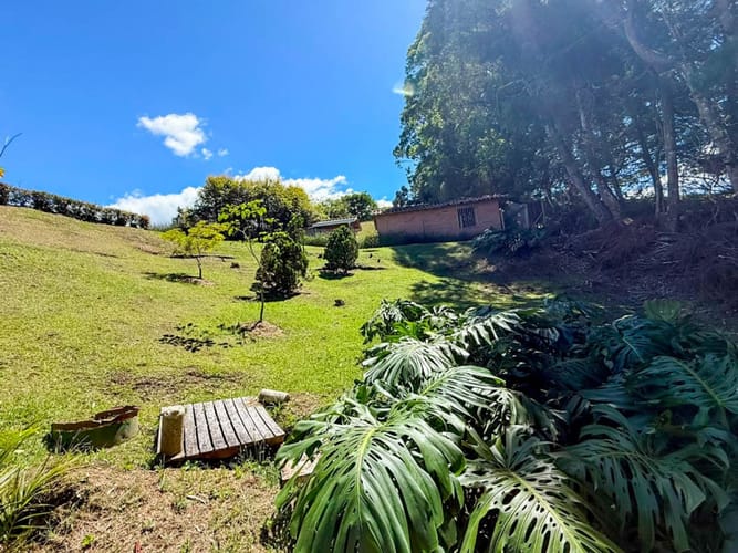 Finca en venta en Sajonia, Rionegro, 230 m² · foto 10 de 15