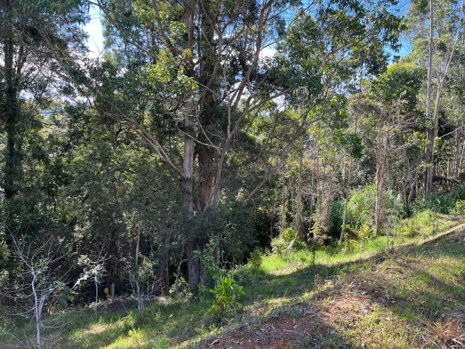 Lote en venta en Llano Grande, Rionegro, 3315 m² · foto 10 de 24