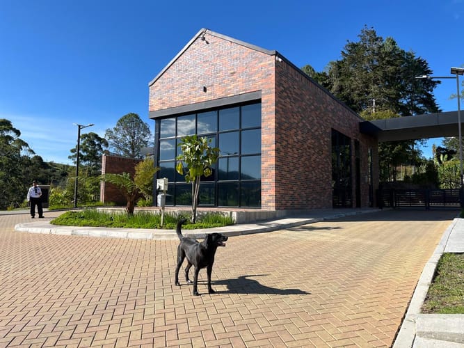 Lote en venta en Llano Grande, Rionegro, 3315 m² · foto 18 de 24