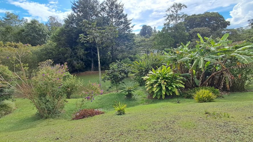 Casa de 5 alcobas en arriendo en La Ceja, La Ceja, 450 m² · foto 8 de 24