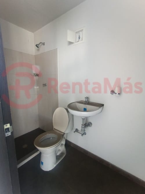 Oficina en arriendo en La Playa, Cúcuta, 20 m² · foto 5 de 5