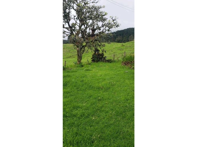 Finca en venta en Buenos Aires La Epifania, La Calera · foto 4 de 7