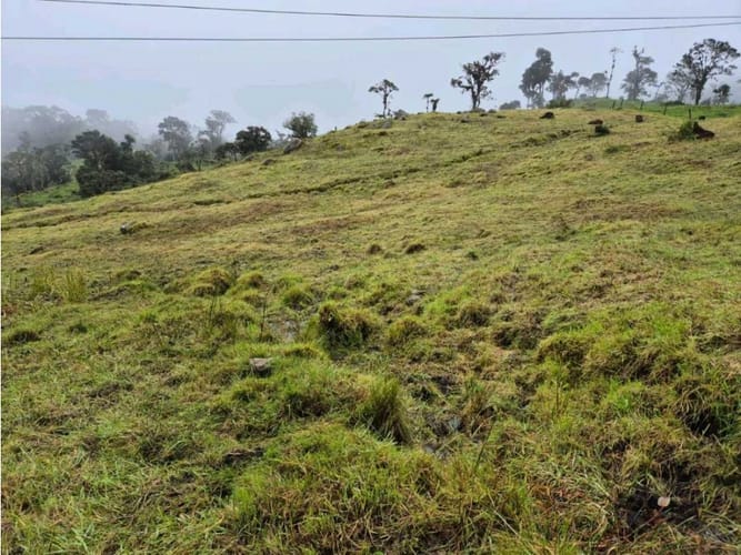 Finca en venta en Buenos Aires La Epifania, La Calera · foto 6 de 7