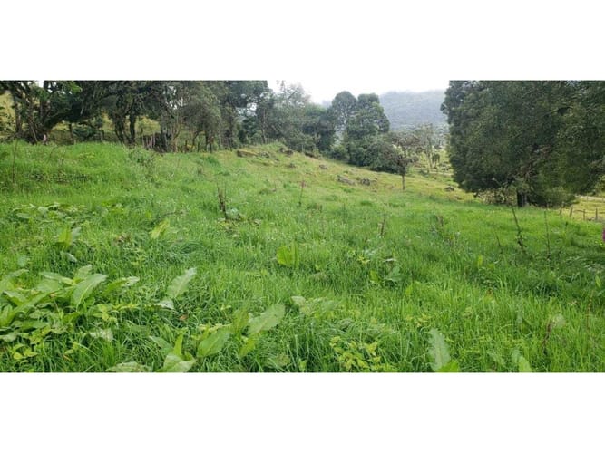 Finca en venta en Buenos Aires La Epifania, La Calera · foto 7 de 7