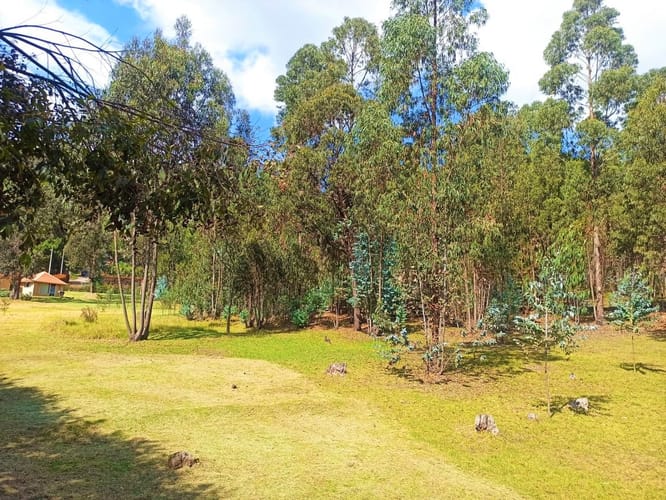 Lote en venta en Tibito, Tocancipá, 10431 m² · foto 5 de 23