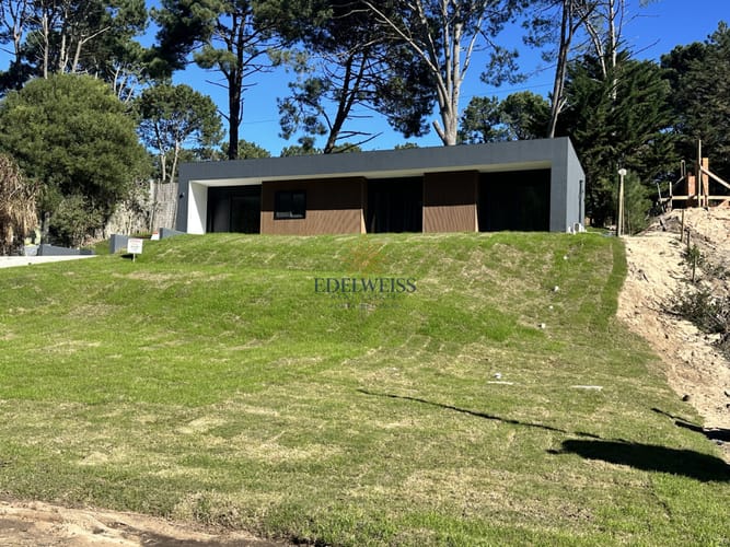 Foto 2 de 21