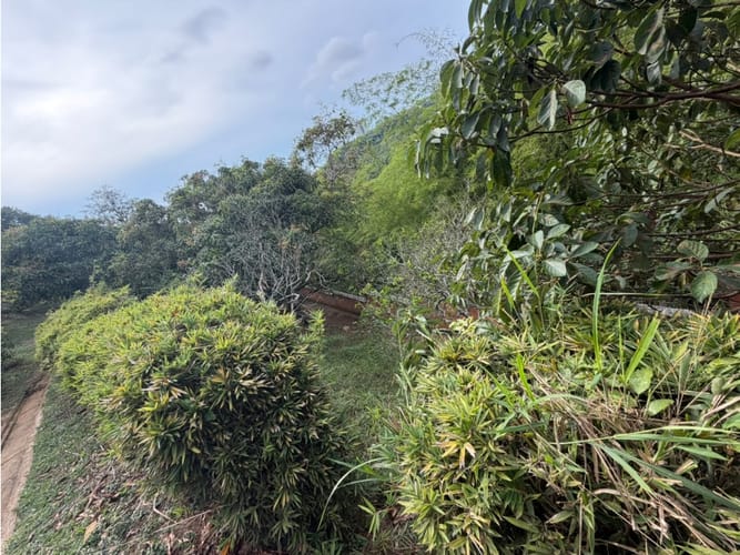 Lote en venta en Lagos Del Cacique, Bucaramanga, 11000 m² · foto 15 de 18