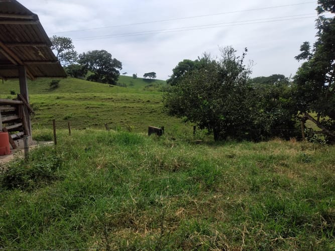 Finca en venta en Guacaica, Manizales, 250 m² · foto 6 de 11