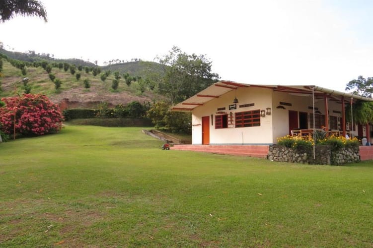 Finca en venta en Guacaica, Manizales, 250 m² · foto 8 de 11