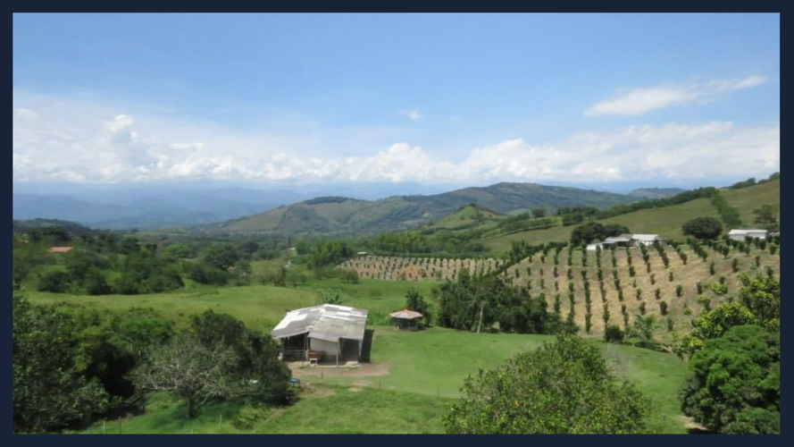 Finca en venta en Guacaica, Manizales, 250 m² · foto 11 de 11