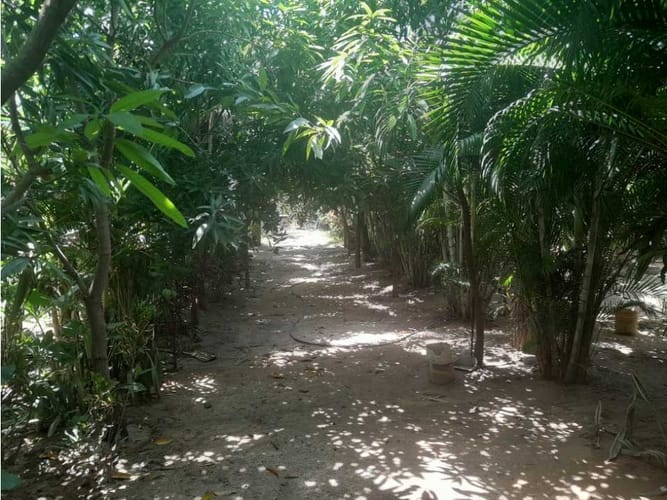 Finca en venta en Corregimiento De Bonda, Santa Marta, 200 m² · foto 5 de 22