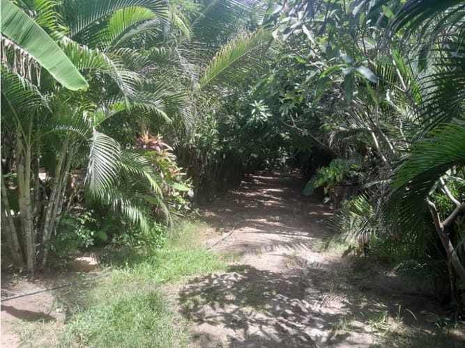 Finca en venta en Corregimiento De Bonda, Santa Marta, 200 m² · foto 22 de 22