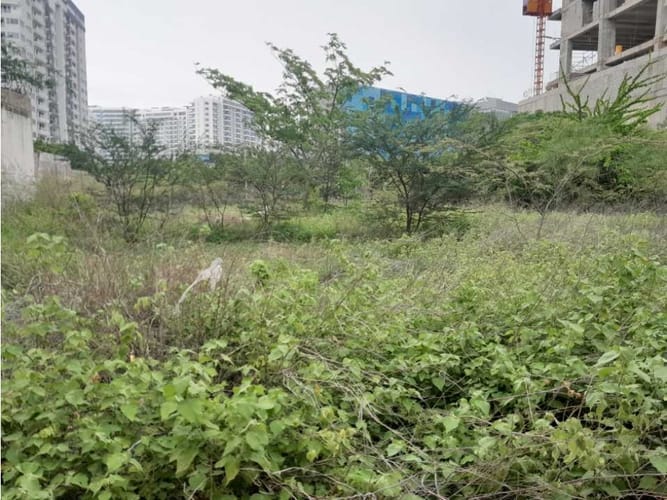 Lote en venta en Salguero, Santa Marta, 2400 m² · foto 7 de 8