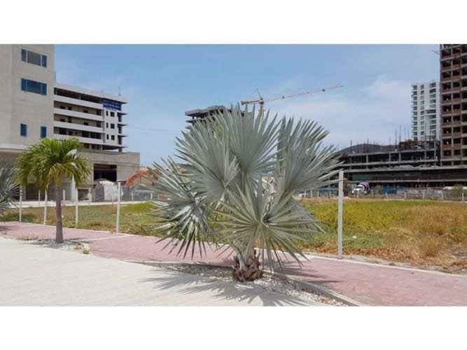 Lote en venta en Pozos Colorados, Santa Marta, 2282 m² · foto 5 de 17