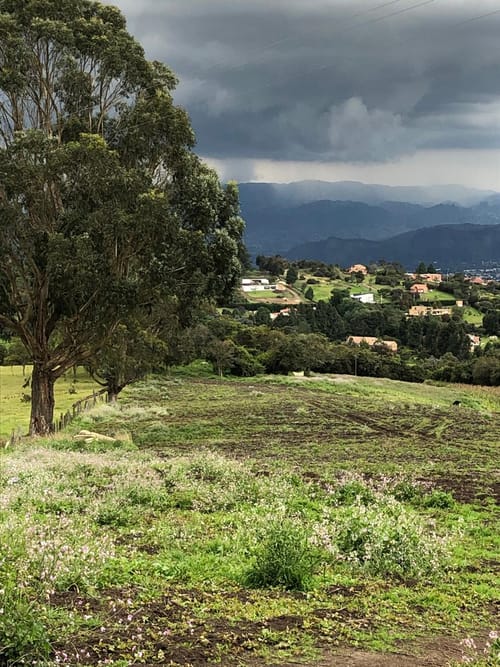 Lote en venta en Yerbabuena, Chía, 30000 m² · foto 3 de 5