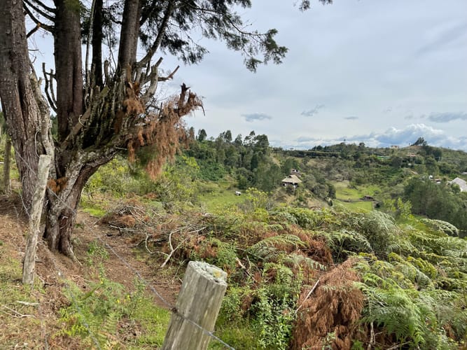 Finca en venta en La Mosquita, Guarne, 200 m² · foto 4 de 19