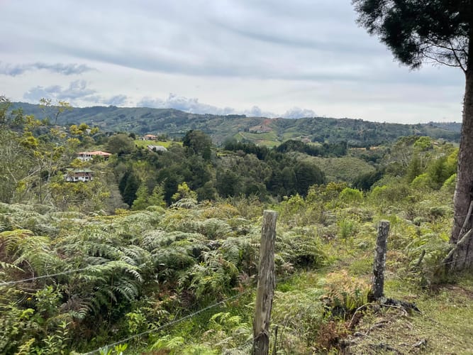 Finca en venta en La Mosquita, Guarne, 200 m² · foto 5 de 19