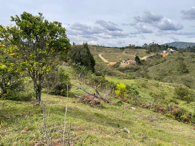 Finca en venta en La Mosquita, Guarne, 200 m² · foto 14 de 19