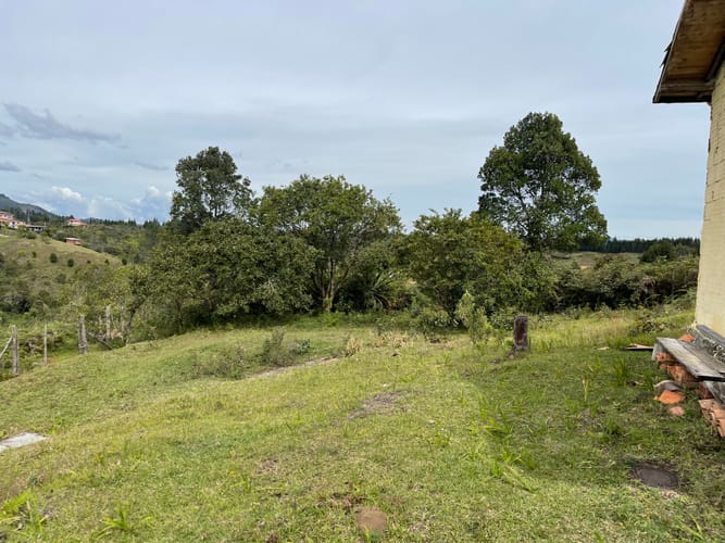 Finca en venta en La Mosquita, Guarne, 200 m² · foto 15 de 19