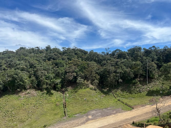Lote en venta en Pantanillo, Envigado, 2596 m² · foto 10 de 14