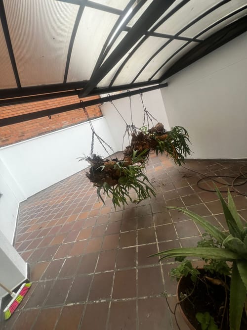 $850.000.000 en Laureles
