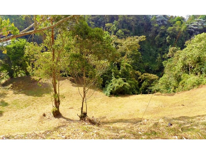 Lote en venta en El Trebol, Manizales, 16200 m² · foto 2 de 4
