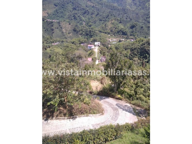 Lote en venta en San Peregrino, Manizales, 1534 m² · foto 3 de 7