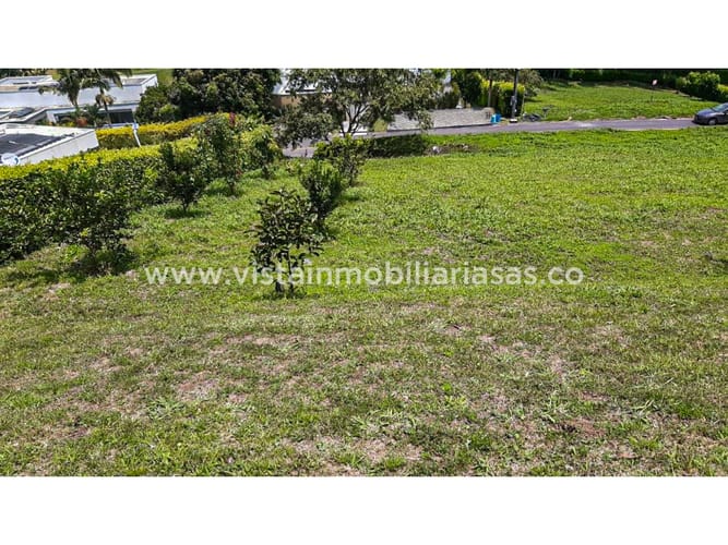 Lote en venta en Las Pavas, Manizales, 1800 m² · foto 9 de 12