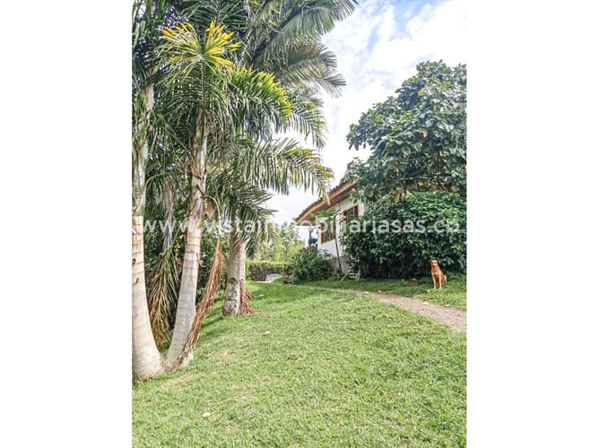 Finca en venta en La Linda Parte, Manizales, 380 m² · foto 9 de 24