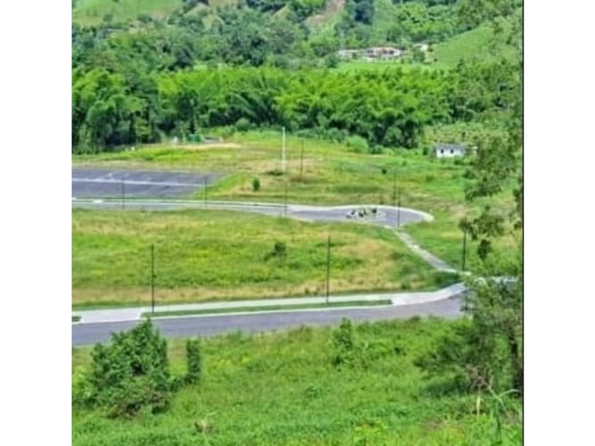 Lote en venta en La Trinidad, Manizales, 1130 m² · foto 2 de 2