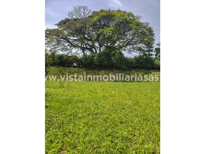 Lote en venta en Condominio Reserva De Los Alamos, Manizales, 1802 m² · foto 8 de 8
