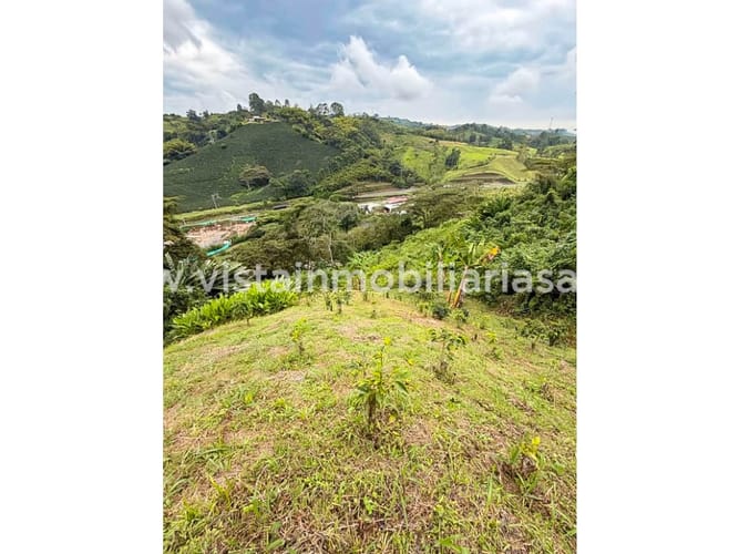 Lote en venta en Cerritos, Pereira, 70000 m² · foto 3 de 7