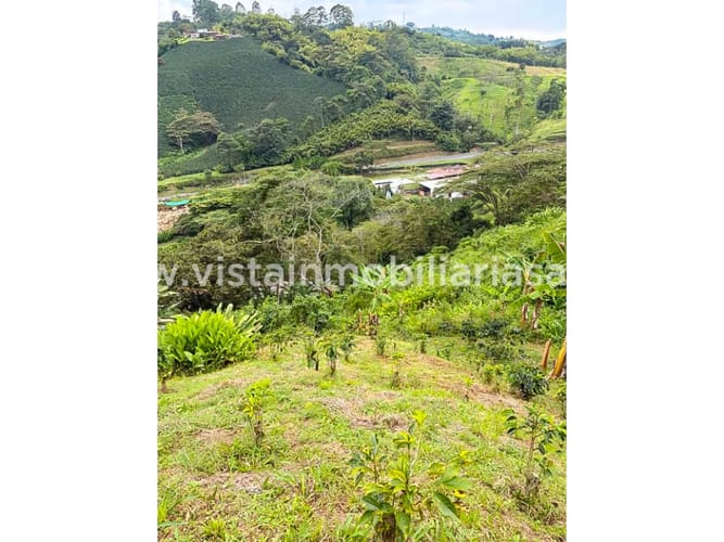 Lote en venta en Cerritos, Pereira, 70000 m² · foto 5 de 7