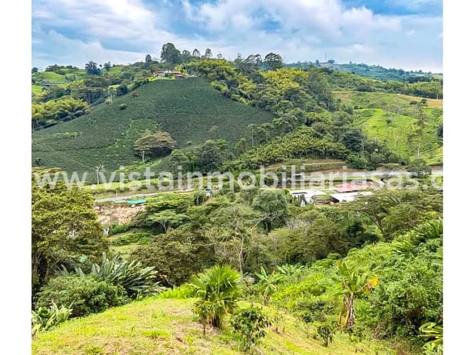 Lote en venta en Cerritos, Pereira, 70000 m² · foto 6 de 7
