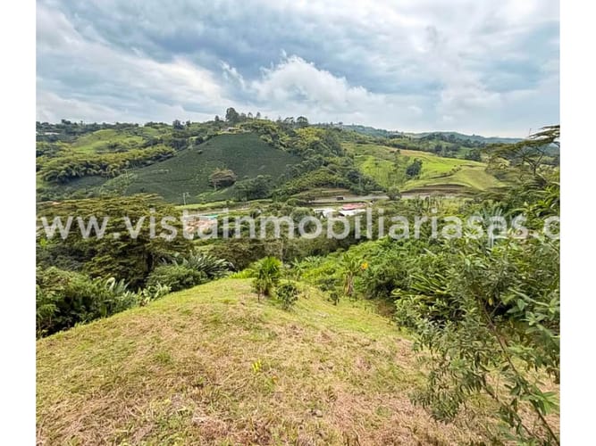 Lote en venta en Cerritos, Pereira, 70000 m² · foto 7 de 7
