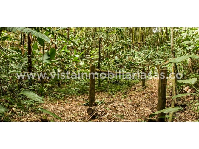 Lote en venta en Cerritos, Pereira, 2004 m² · foto 4 de 6