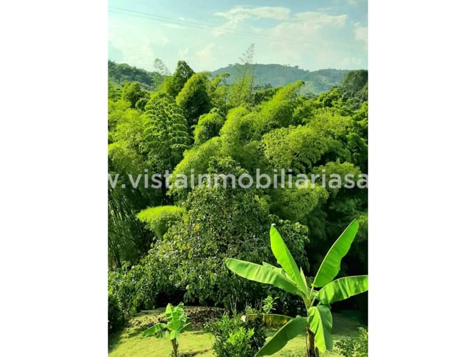 Finca en venta en La Argentina, Manizales, 250 m² · foto 5 de 16