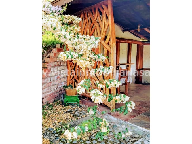 Finca en venta en La Argentina, Manizales, 250 m² · foto 6 de 16