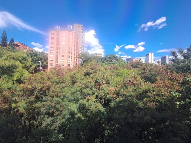 Consultorio en arriendo en Patio Bonito, Medellín, 38 m² · foto 4 de 19