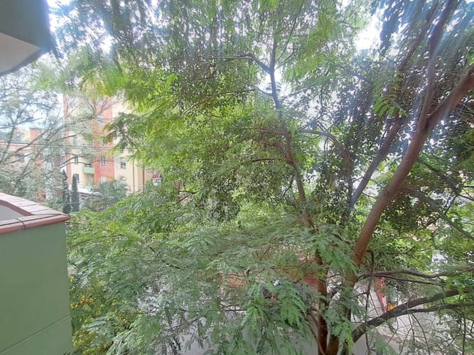 Apartamento de 2 alcobas en arriendo en La Almeria, Medellín, 48 m² · foto 13 de 13