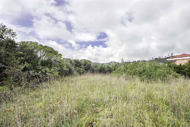 Lote en venta en Sindamanoy, Chía, 11713 m² · foto 7 de 15