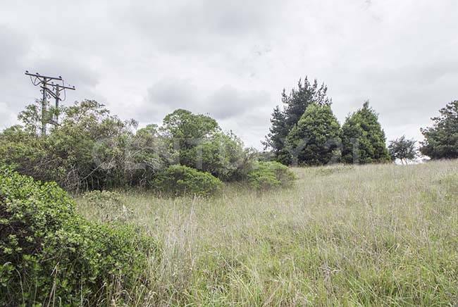 Lote en venta en Sindamanoy, Chía, 11713 m² · foto 8 de 15